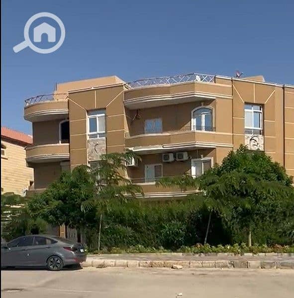 5 4. jpg