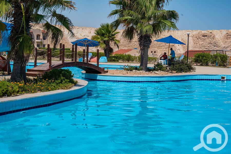2 ح ٤. jpg