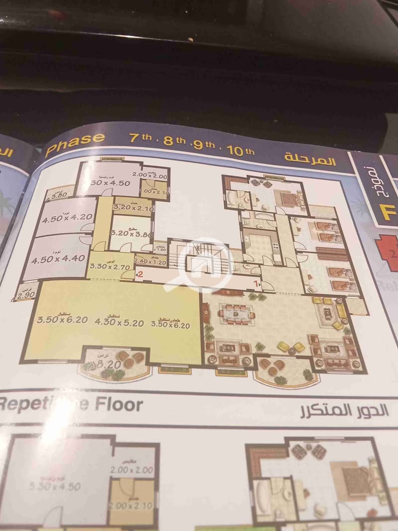 1000116237. jpg