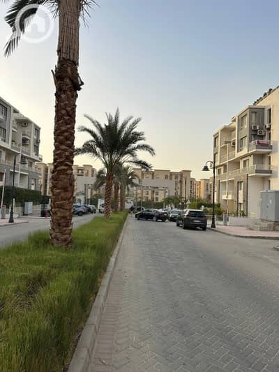 3 Bedroom Flat for Sale in New Cairo, Cairo - IMG-20241226-WA0005. jpg