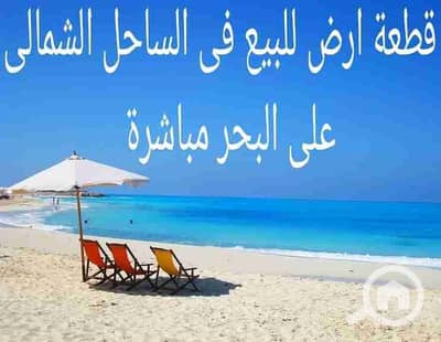 Residential Land for Sale in North Coast, Matruh - 1000215858. jpg
