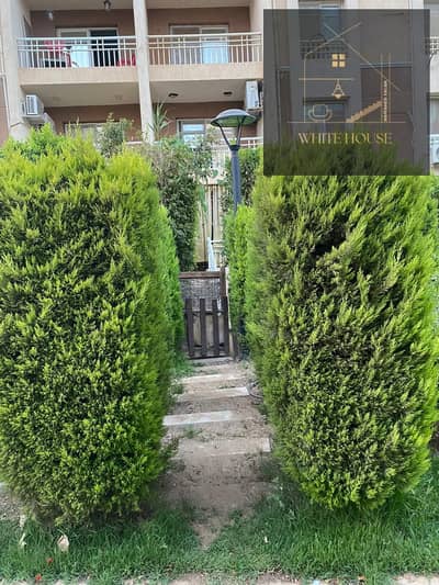 2 Bedroom Hotel Apartment for Sale in Madinaty, Cairo - WhatsApp Image 2025-09-12 at 8.26. 12 PM. jpeg