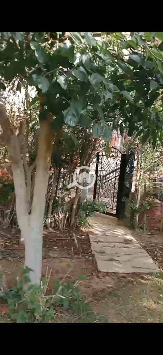 7 WhatsApp Image 2025-09-13 at 11.39. 30 AM (3). jpeg