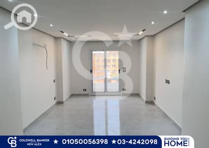 3 Bedroom Flat for Sale in Smoha, Alexandria - 4. png