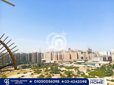 3 Bedroom Flat for Sale in Smoha, Alexandria - 1. png