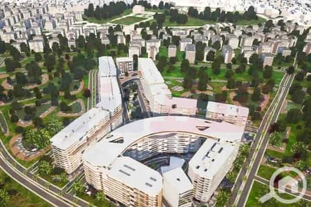 5 Bedroom Flat for Sale in Smoha, Alexandria - WhatsApp Image 2025-09-07 at 5.50. 20 PM. jpg