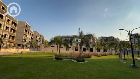 3 Bedroom Flat for Sale in New Cairo, Cairo - WhatsApp Image 2025-08-12 at 1.48. 50 PM. jpeg