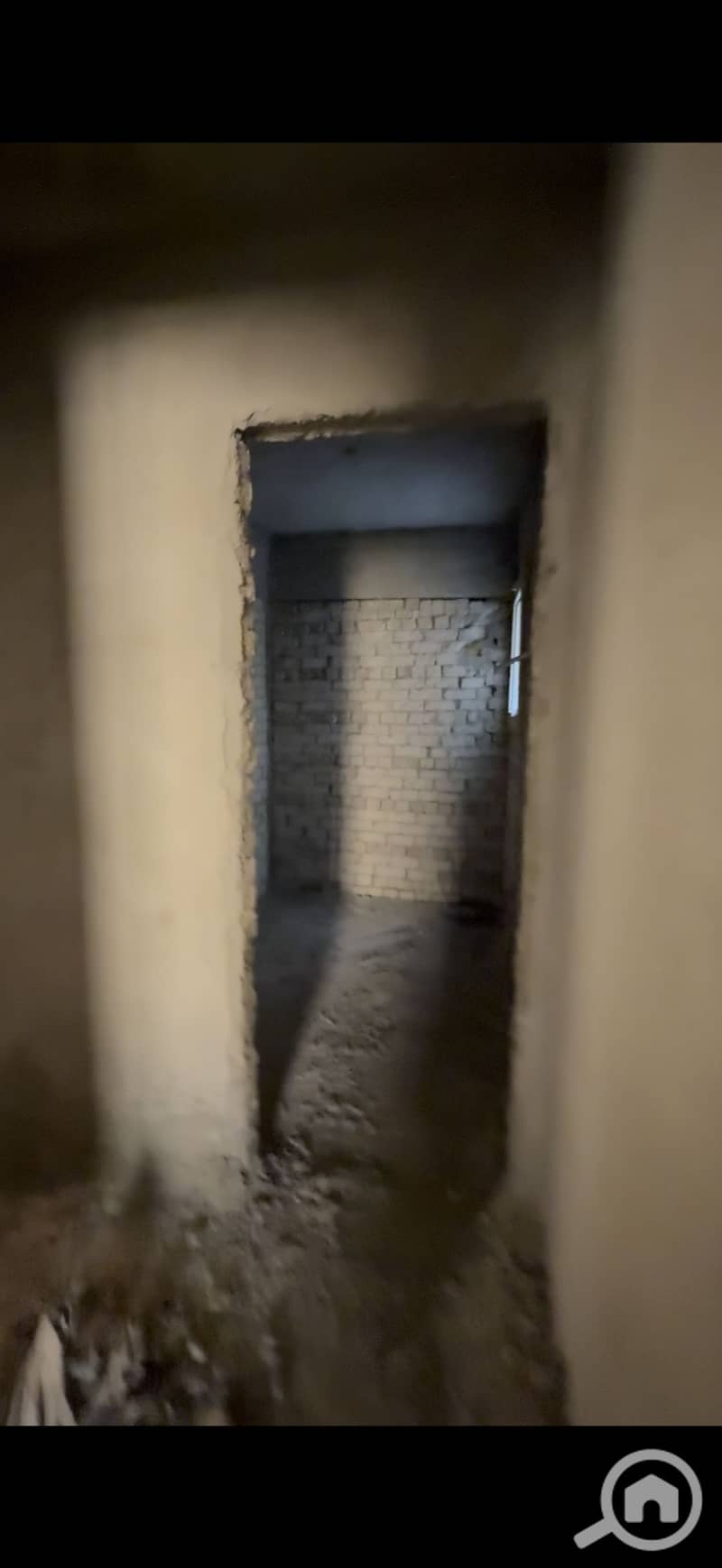 12 IMG_6800. png