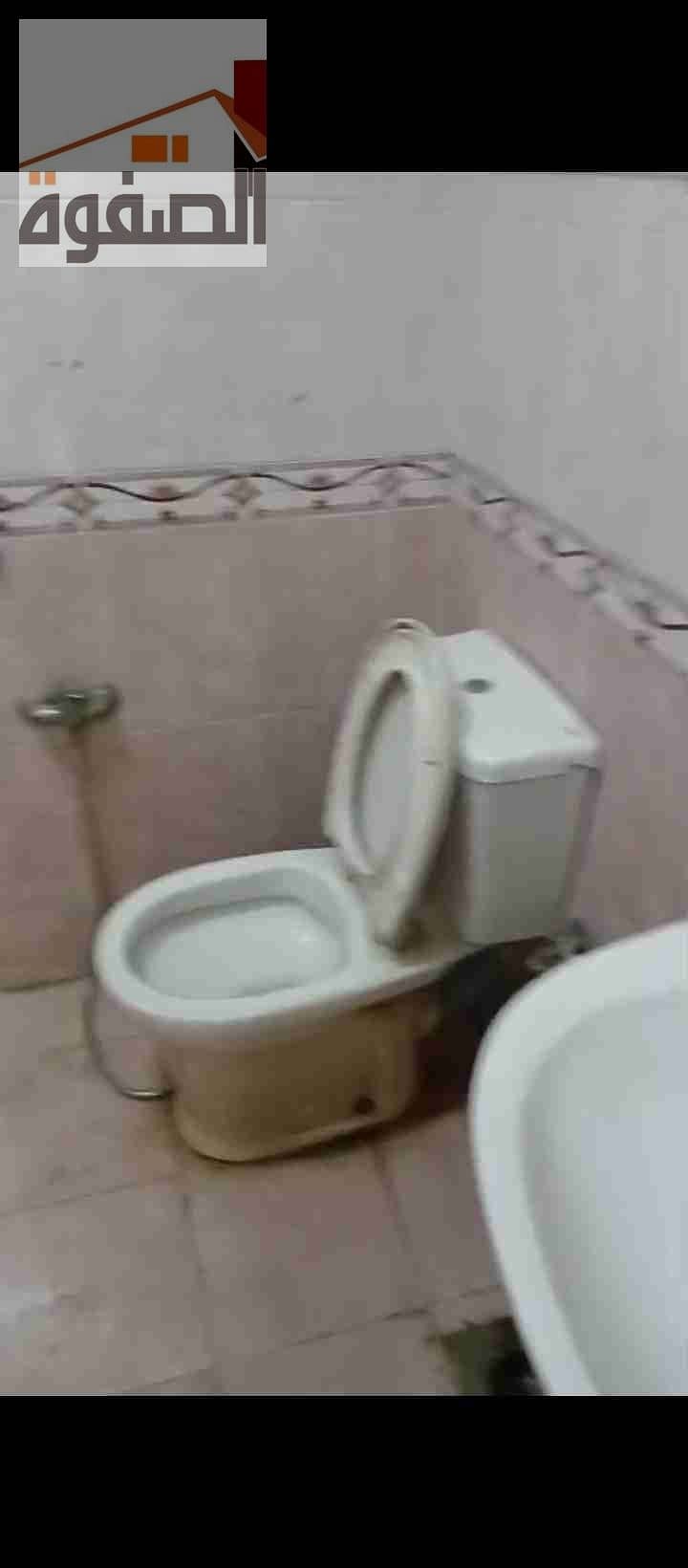12 1000045288. jpg