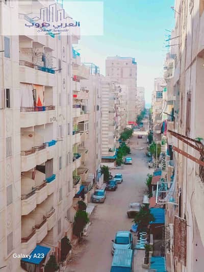 فلیٹ 2 غرفة نوم للبيع في النخيل، الإسكندرية - 1000250322. heic