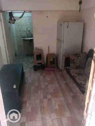 1 Bedroom Flat for Rent in Dokki, Giza - FB_IMG_17564985616257241. jpg