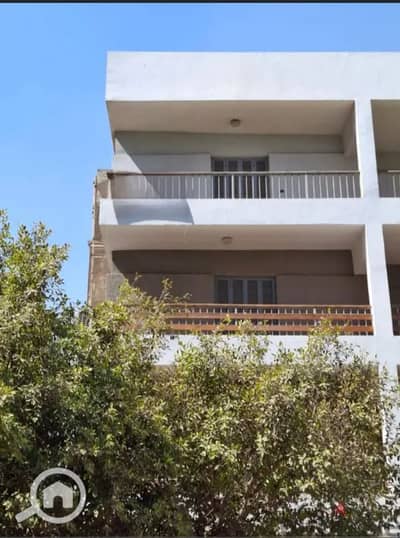 Commercial Building for Rent in Mohandessin, Giza - IMG_٢٠٢٥٠٩١٠_١٤٠٠١٧. jpg