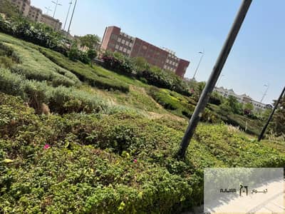 فلیٹ 4 غرف نوم للبيع في مدينتي، القاهرة - WhatsApp Image 2025-09-14 at 11.30. 34 (3). jpeg