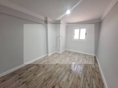 Office for Rent in Sporting, Alexandria - 1000223338. jpg
