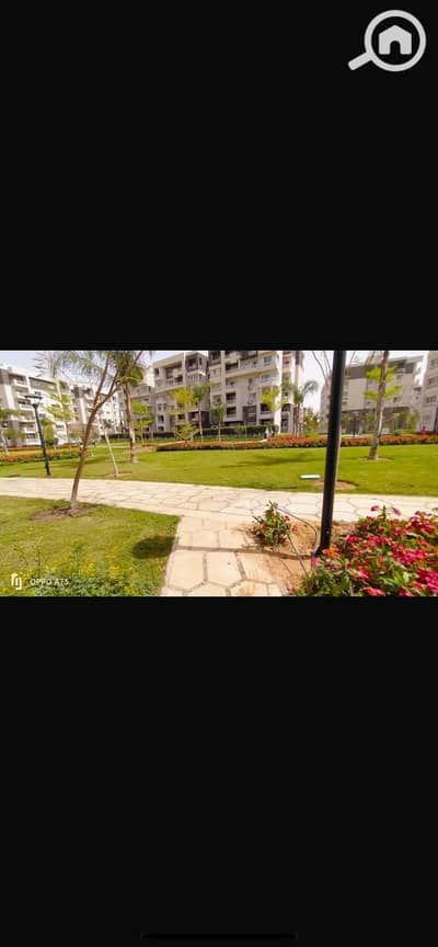 3 Bedroom Apartment for Rent in Madinaty, Cairo - IMG_6428. png