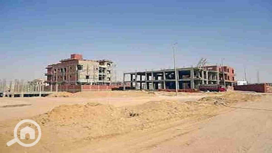 2 1000546800. webp