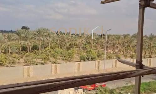 شقة 3 غرف نوم للبيع في العبور، القاهرة - 518121685_122162204480485876_59101528267018113_n. jpg