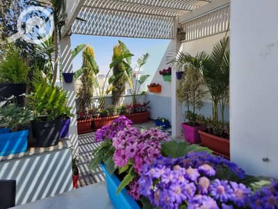 4 Bedroom iVilla for Sale in New Cairo, Cairo - WhatsApp Image 2025-09-14 at 8.20. 03 AM. jpeg