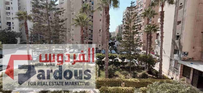 مکتب  للايجار في سموحة، الإسكندرية - IMG-20250813-WA0034. jpg