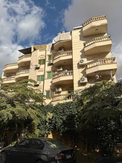 3 Bedroom Flat for Sale in New Cairo, Cairo - 91cd7c6a-0a73-4f59-bcee-f511461b57e3. jpeg
