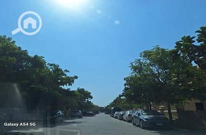 5 7260997-0795eo. jpg