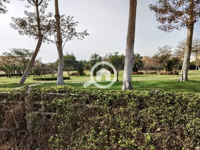 3 Bedroom Villa for Sale in Madinaty, Cairo - WhatsApp Image 2025-08-05 at 12.08. 23 PM (1). jpeg