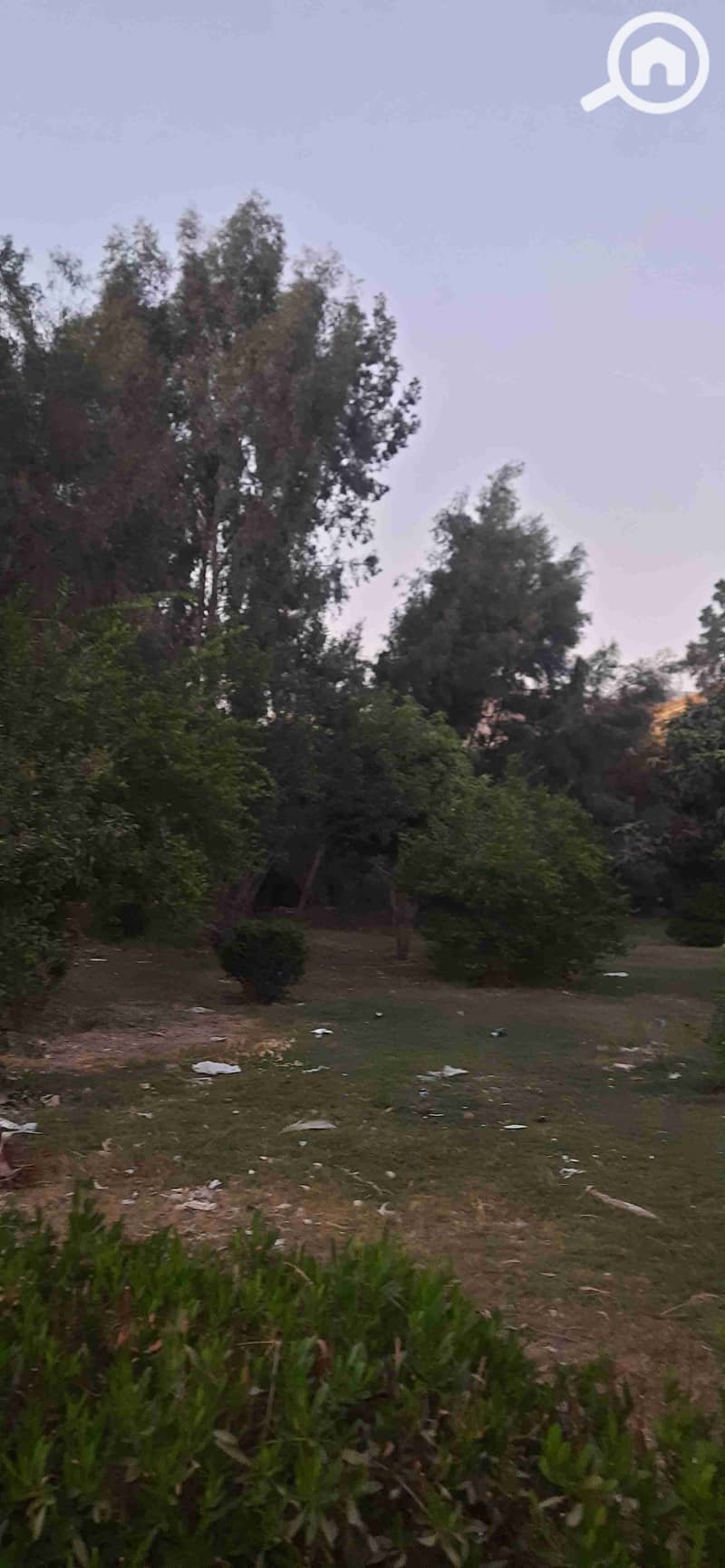 10 ٢٠٢٥٠٩١٤_١٩١١٢٣. jpg