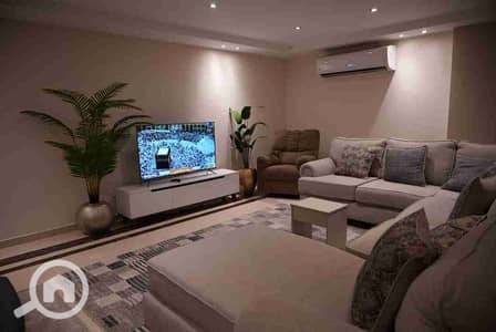 3 Bedroom Hotel Apartment for Rent in Zamalek, Cairo - 1000075009. jpg