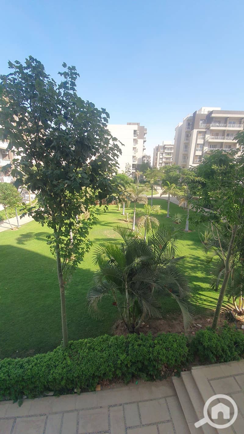 2 ٢٠٢٥٠٨٢٧_١٦٢٠٤١. jpg