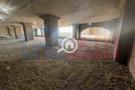 Office for Rent in Smoha, Alexandria - WhatsApp Image 2025-09-01 at 4.46. 49 PM. jpg