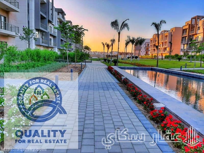 6 المراسم-التجمع-الخامس-5. jpg