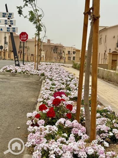 فیلا 4 غرف نوم للبيع في القاهرة الجديدة، القاهرة - WhatsApp Image 2025-08-24 at 13.24. 38_32e8bc35. jpg