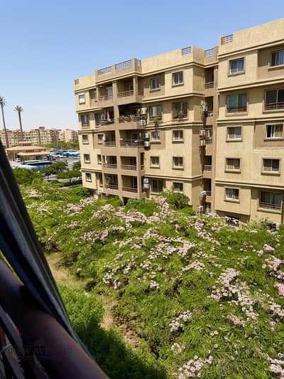 3 Bedroom Flat for Sale in Madinaty, Cairo - WhatsApp Image 2025-09-02 at 4.56. 47 PM (1). jpeg