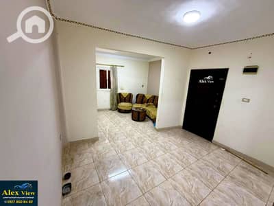 فلیٹ 2 غرفة نوم للبيع في ميامي، الإسكندرية - 1. jpg
