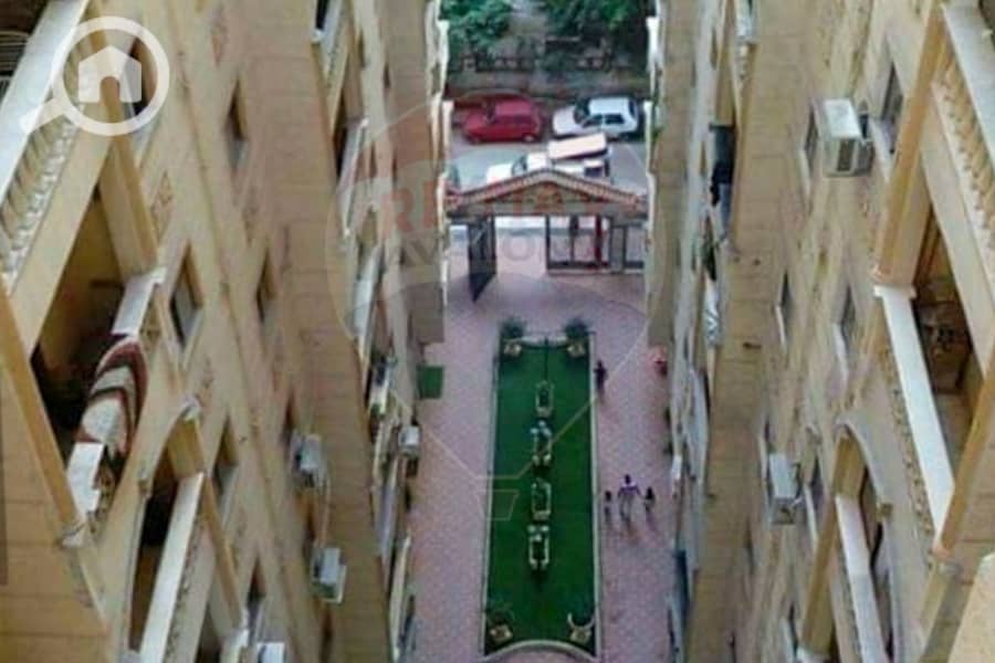 6 6. jpg
