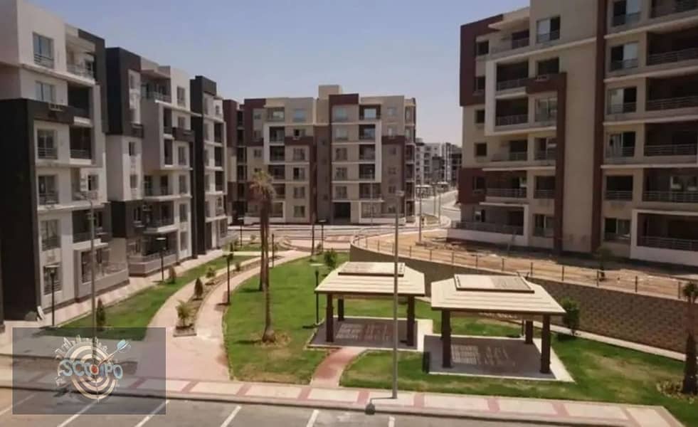 6 دار مصر الشروق 5. jpg
