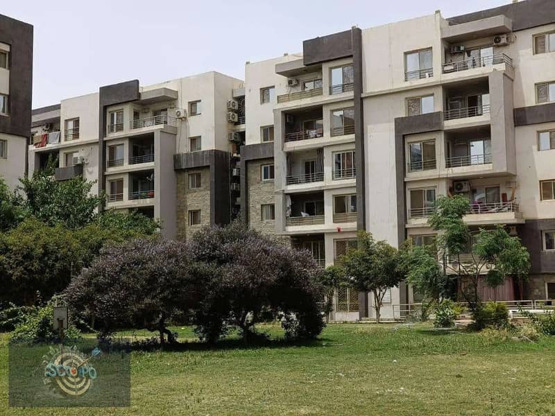 8 دار مصر الشروق 2. jpg