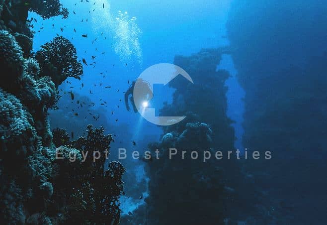 4 Capture8. JPG