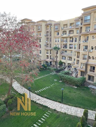 3 Bedroom Flat for Rent in Madinaty, Cairo - WhatsApp Image 2025-09-15 at 6.33. 33 AM. jpeg