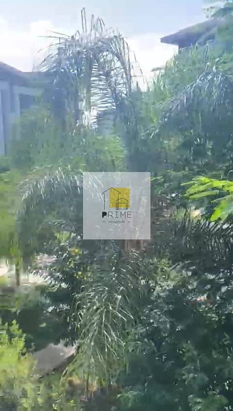3 WhatsApp Image 2025-09-15 at 18.39. 30_db716935. jpg