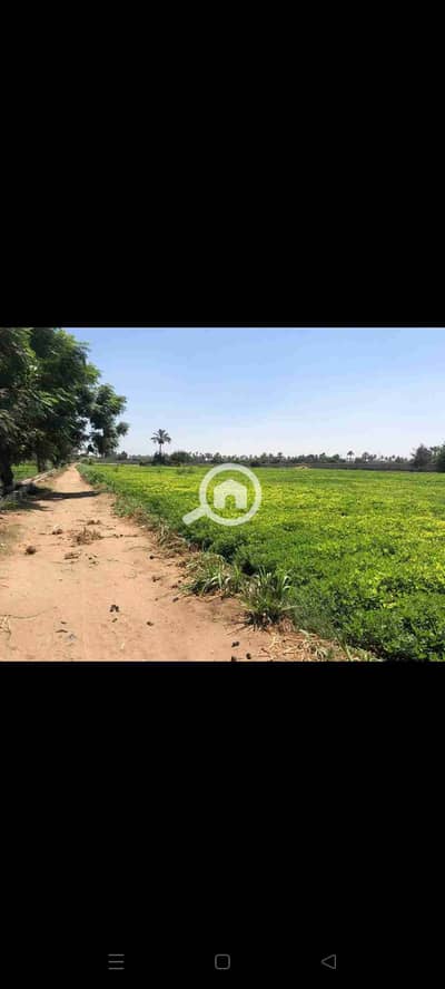 أرض سكنية  للبيع في المنصورية، الجيزة - 1000122169. jpg