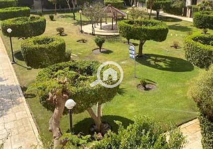 3 Bedroom Apartment for Rent in New Cairo, Cairo - 49e27b84-e361-4309-9d05-a4d561963a76. jpg