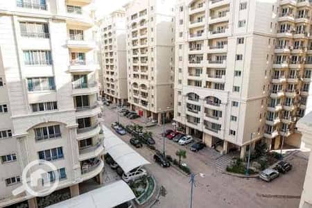3 Bedroom Apartment for Rent in Smoha, Alexandria - IMG_8100. jpg
