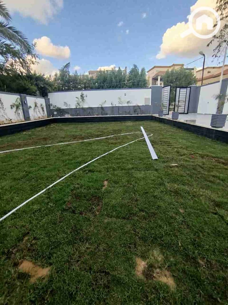 9 1000430326. jpg