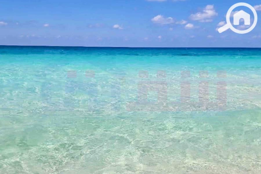 5 صورة واتساب بتاريخ 2025-09-02 في 19.54. 18_f8109593. jpg