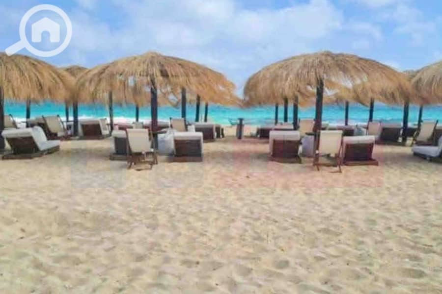 6 صورة واتساب بتاريخ 2025-09-02 في 19.54. 19_e5a938e1. jpg