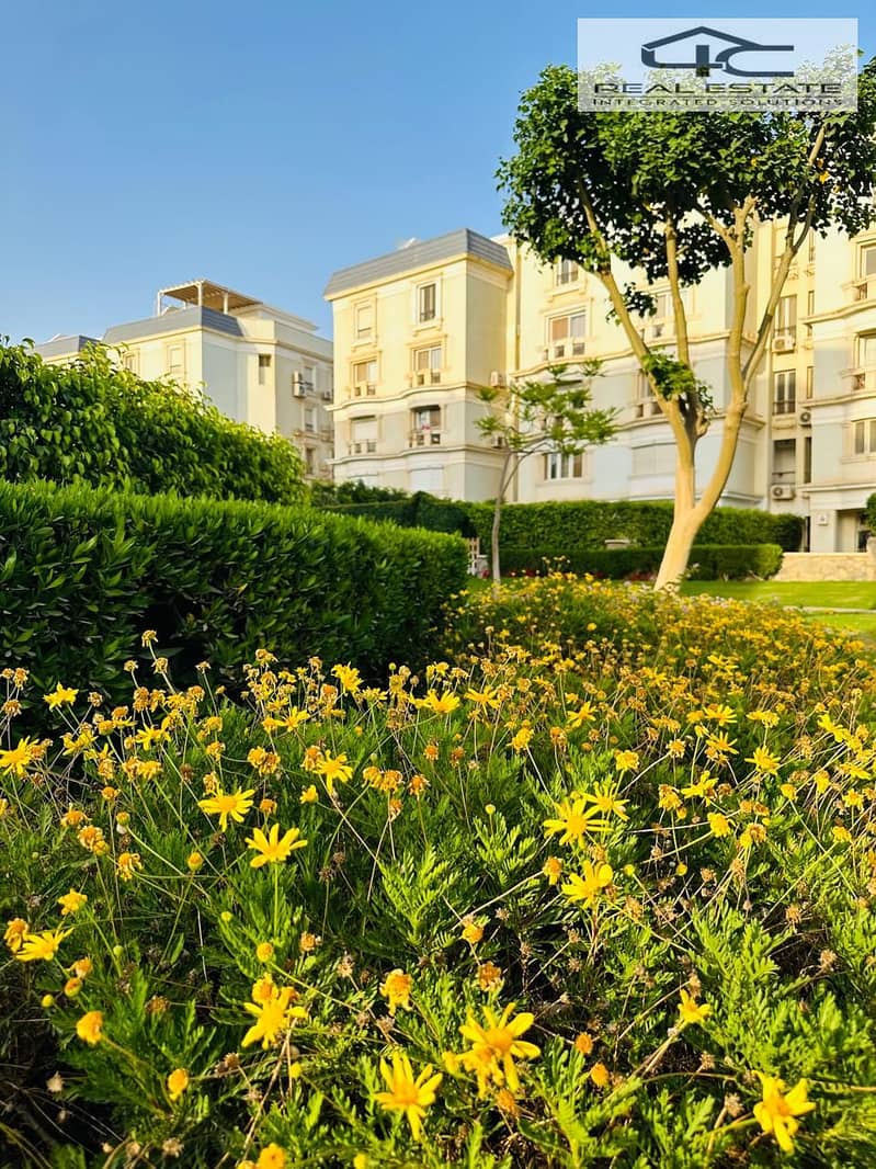 3 WhatsApp Image 2025-08-19 at 09.38. 43. jpeg