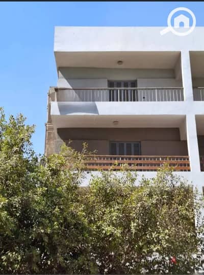 11 Bedroom Villa for Rent in Mohandessin, Giza - IMG_٢٠٢٥٠٩١٠_١٤٠٠١٧. jpg