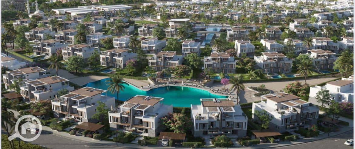 IMG_6007. jpeg IMG_6007. jpeg