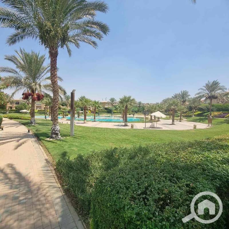 6 0aed06f3-e2d8-4e66-9d4a-74c0e144a890. jpg